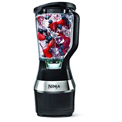 Ninja Pulse Blender BL300